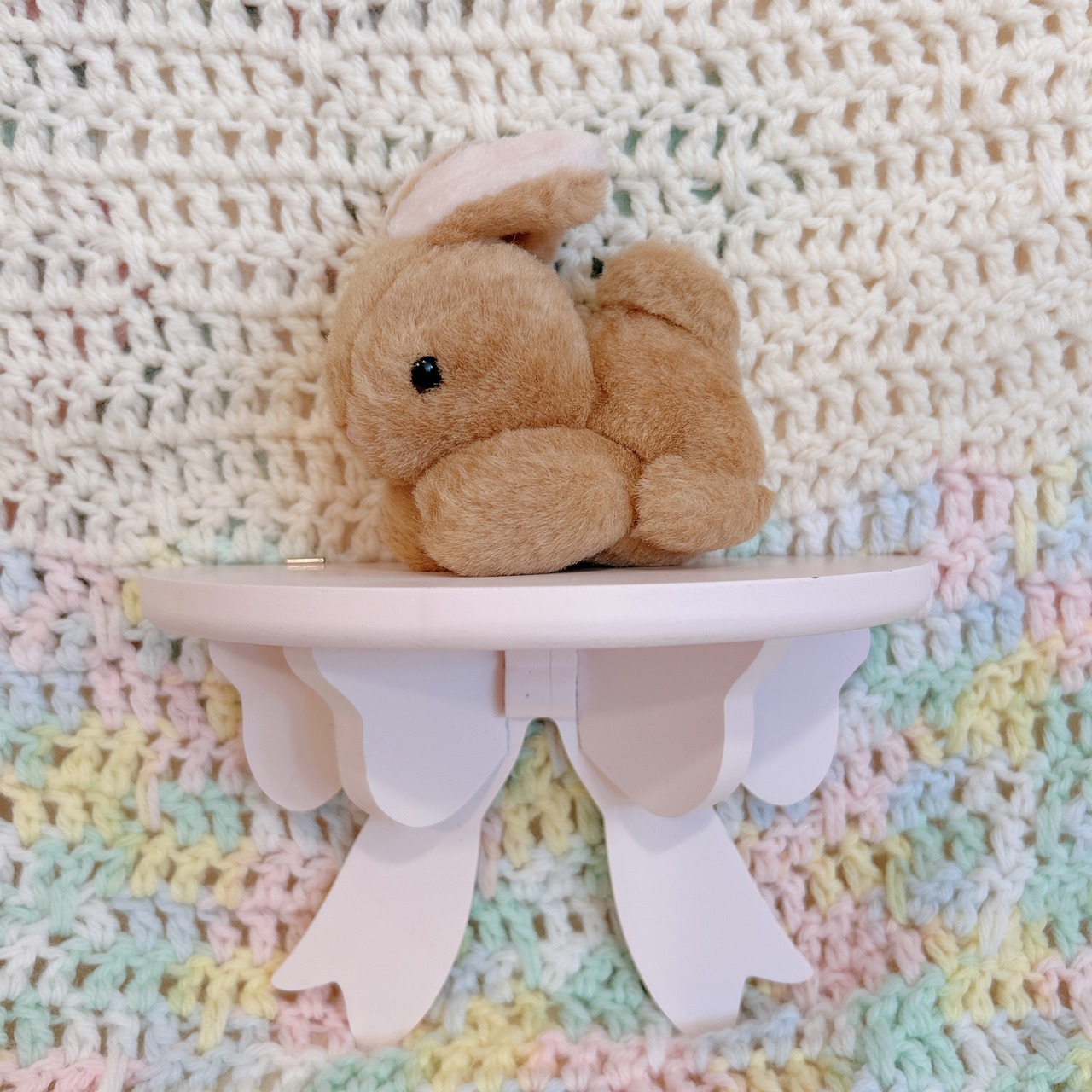mini bunnyの画像01