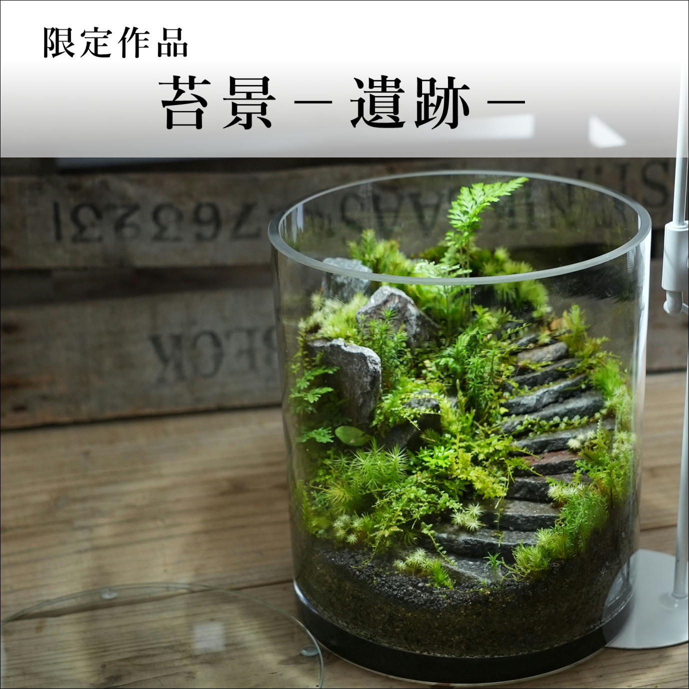 テラリウム×ジオラマ 『レトロ自販機の情景』 コケテラリウム