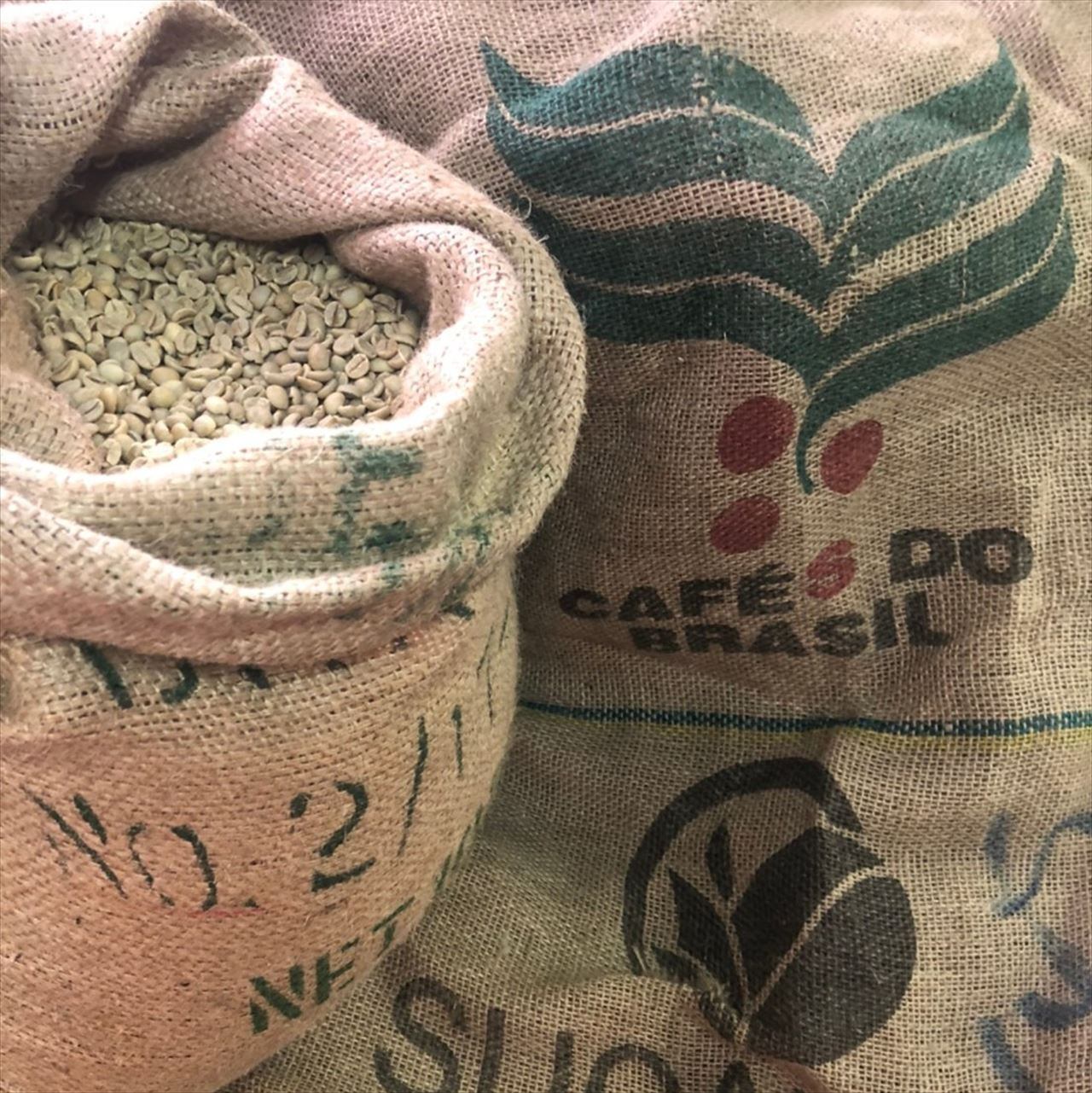 爆安!![コーヒー 生豆 ]ブラジル3kg/モカシダモ3kg/合計6kg 生豆限定】 モカシダモG4 （生豆1kgパック）