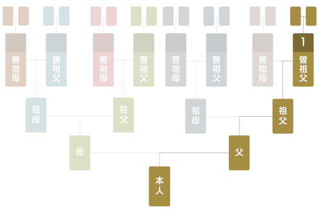 シンプル家系図セット〈１家系〉