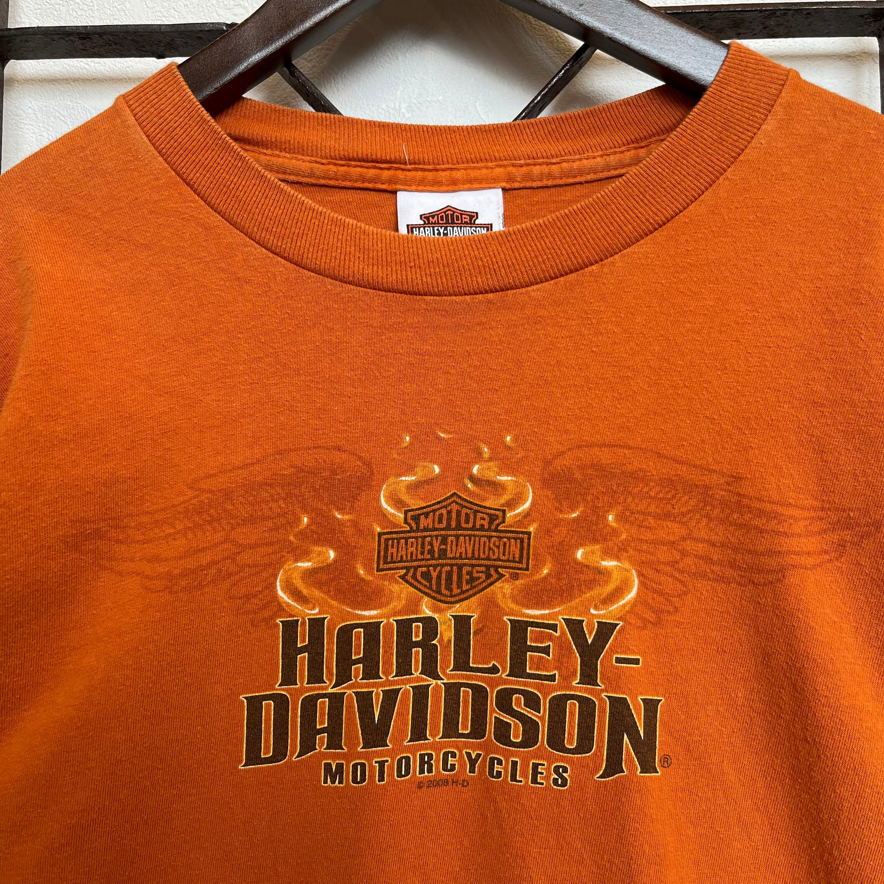 ヴィンテージ HARLEY DAVIDSON 袖プリ ロングTシャツ Lサイズ