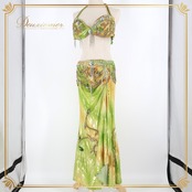 ベリーダンス オリエンタル 衣装 上下セット グリーン系ラインストーン ビーズ 装飾 豪華 アーム アーム飾り 頭飾り セット 緑 黄 スリット フリンジ 華やか キラキラ 煌びやか ヘアバンド 舞台 ステージ ダンス衣装 イエロー系 シルバー系