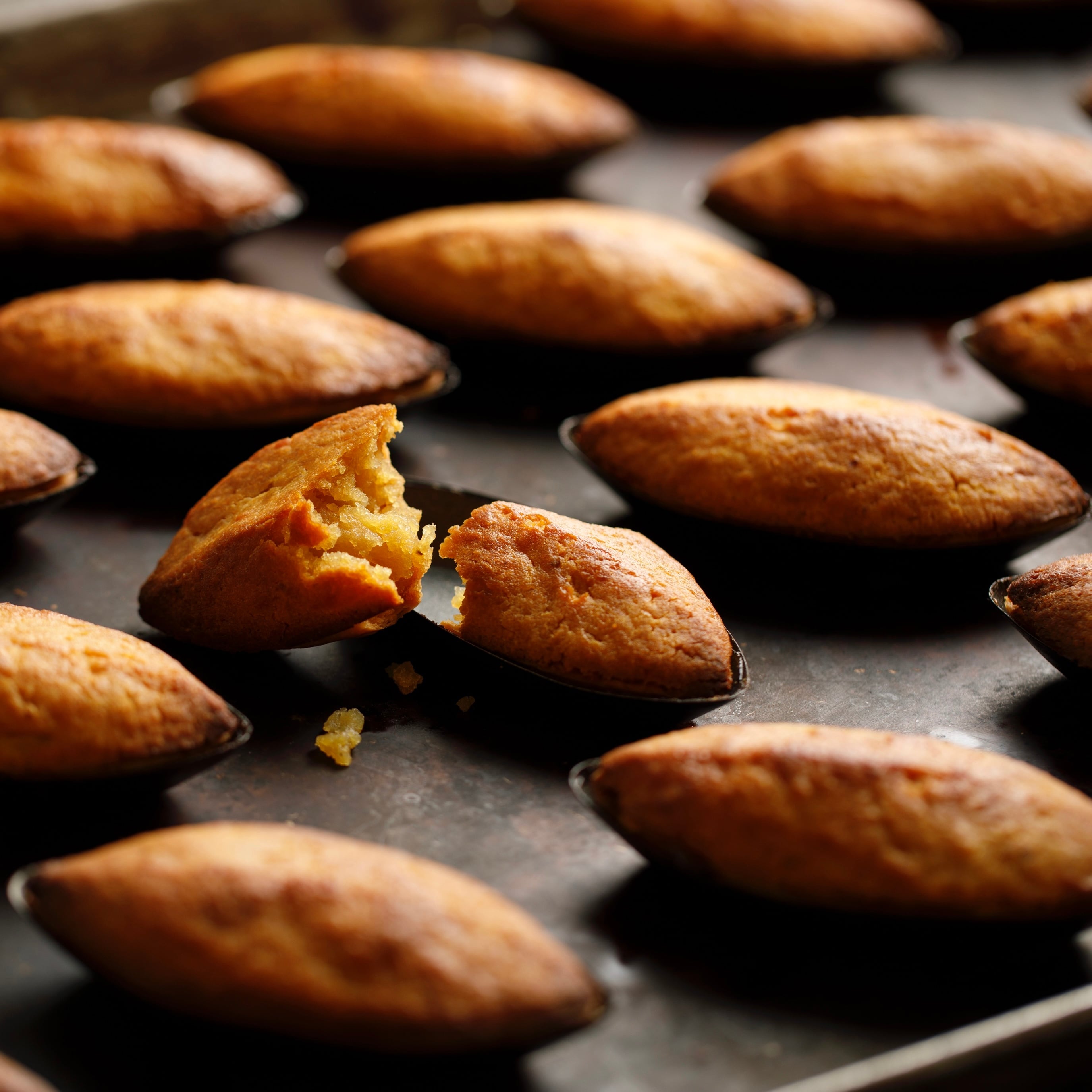 茶の間 団欒セット | 金沢茶の間 フランドール