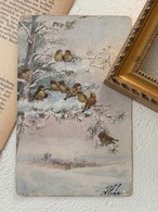 アンティークポストカード 雪景色の中の小鳥 1909年 風景 額装 インテリア フランス エンボス
