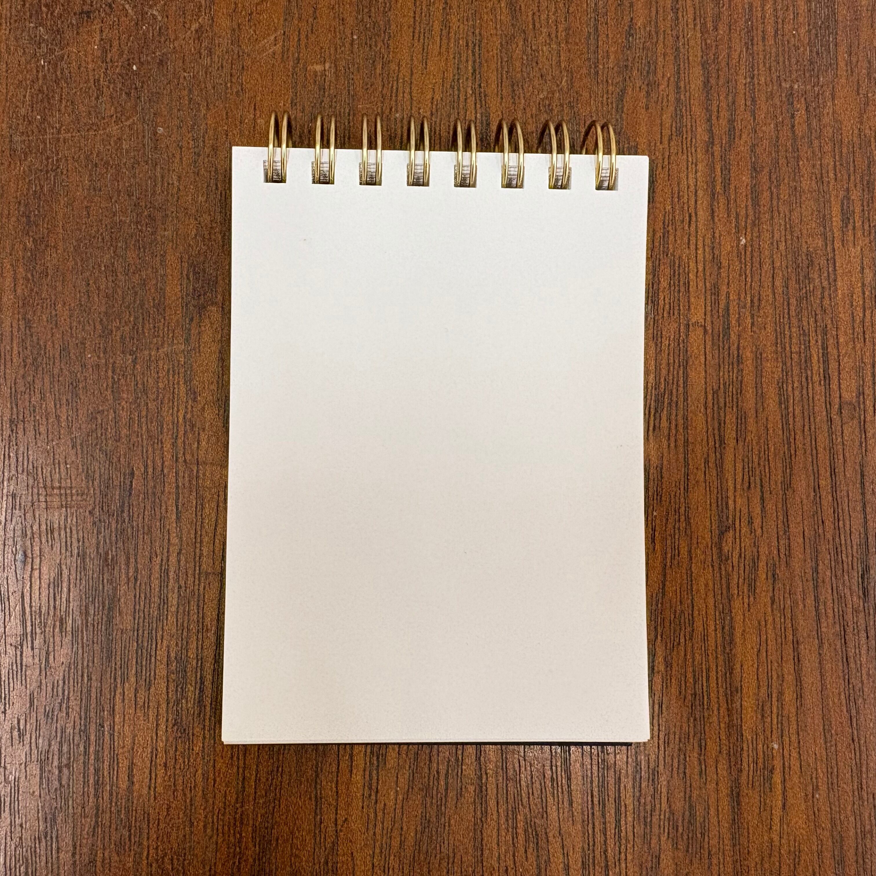 MEKURU（メモ帳：いるか） | Workstation Dolphin