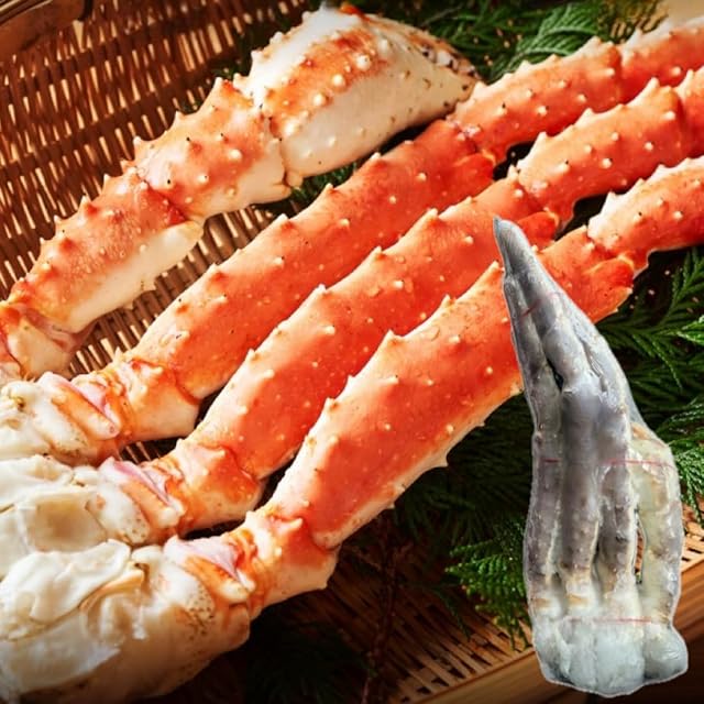 ⑤伊平屋島産 オカガニ ♂ 1匹 カニ | PAY ID