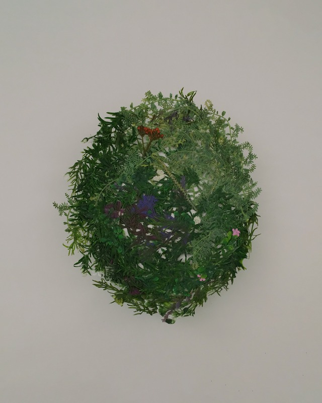 葉花のトレイ｜オーバル｜い