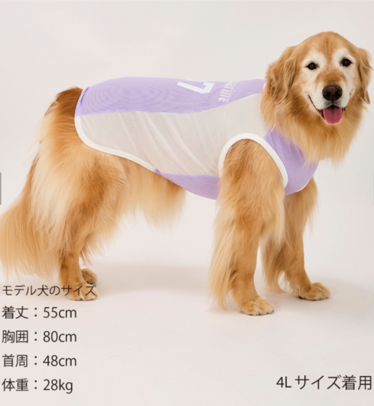 Cool Player Tank クールプレイヤータンク NO1503