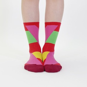bpbp / 【23-27.5cm】MASARU SUZUKI enkin view socks