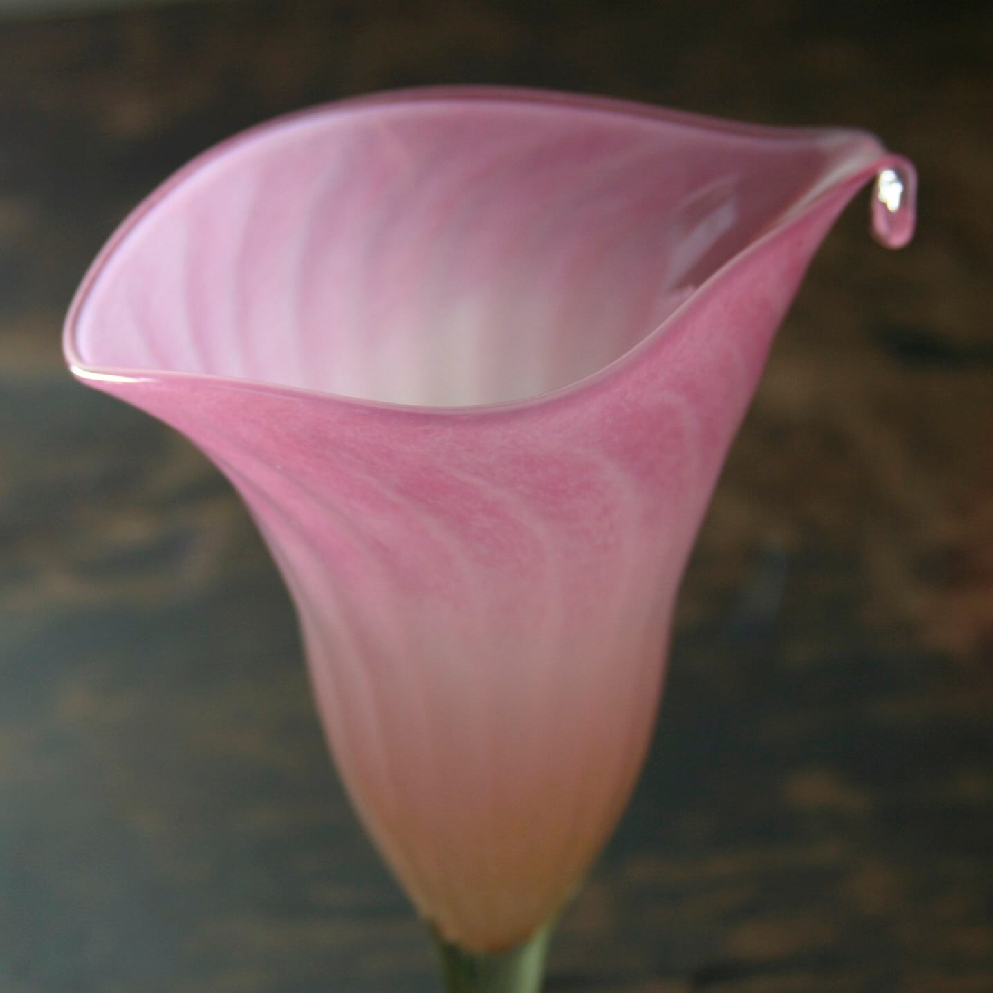 【’24春】 Calla lily シャンパングラス カラーのお花 ピンク (200 cc)