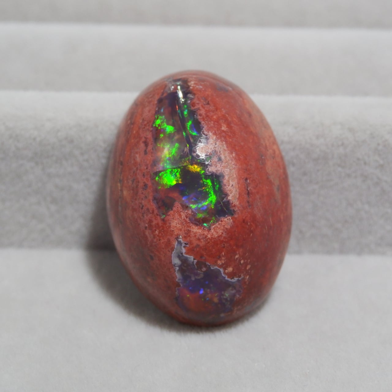 カンテラオパール | 洋灯舎