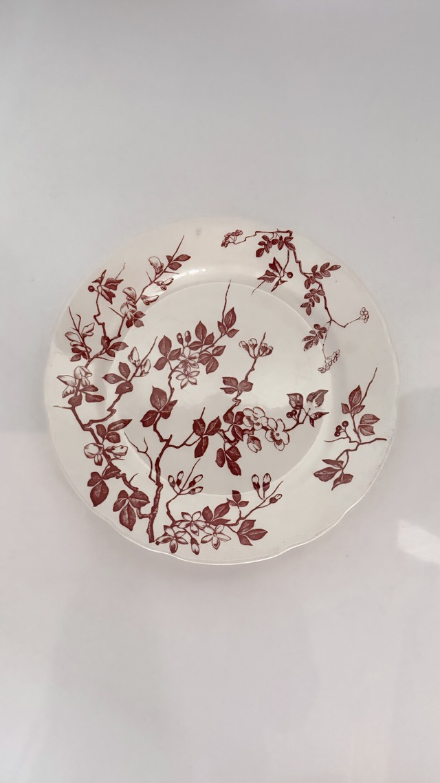 vintage plate Sarreguemines Après le Vent Ⅱ