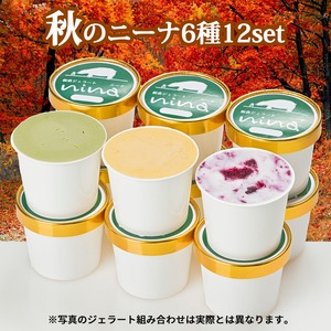 秋のニーナ（90ｍL×12個）