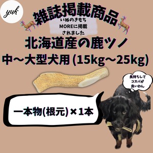 一本物　根元　中〜大型犬用　蝦夷鹿のツノ　ワンちゃん用オモチャ　ドッグガム　鹿角　