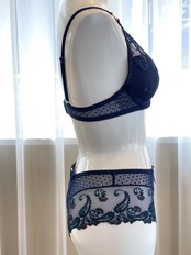 ヴェルヴェットメモリーズ パットブラジャー 32Bサイズ AUBADE