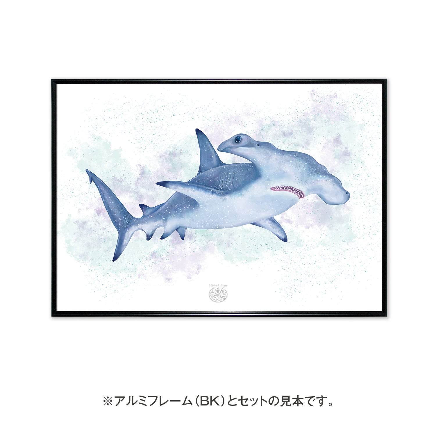 海のいきものアートポスター／魚】ハンマーヘッドシャーク | UMIYA