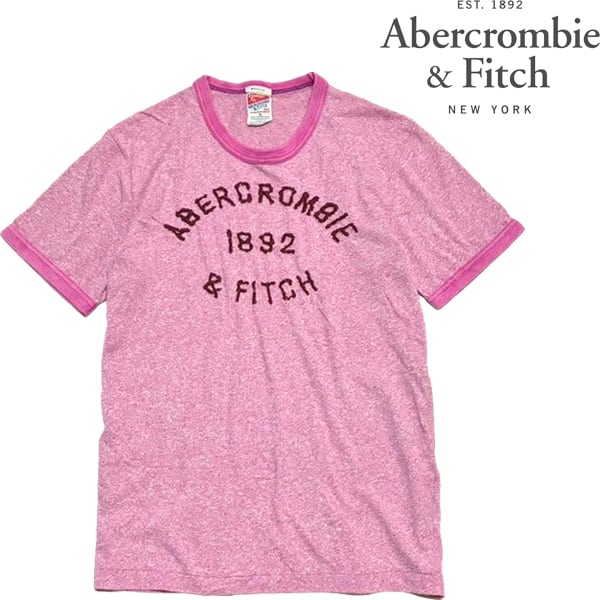 1点物◇パタゴニアPatagoniaバックプリント旧ロゴTシャツ古着LメンズXL