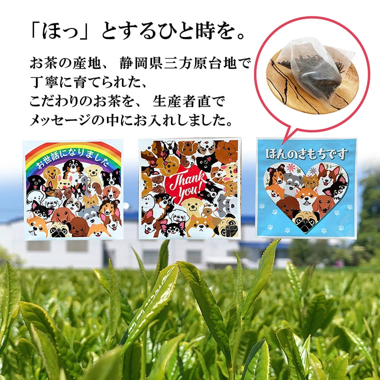 メッセージ茶 和紅茶 ティーバッグ1個入り 犬 感謝 プチギフト | まい