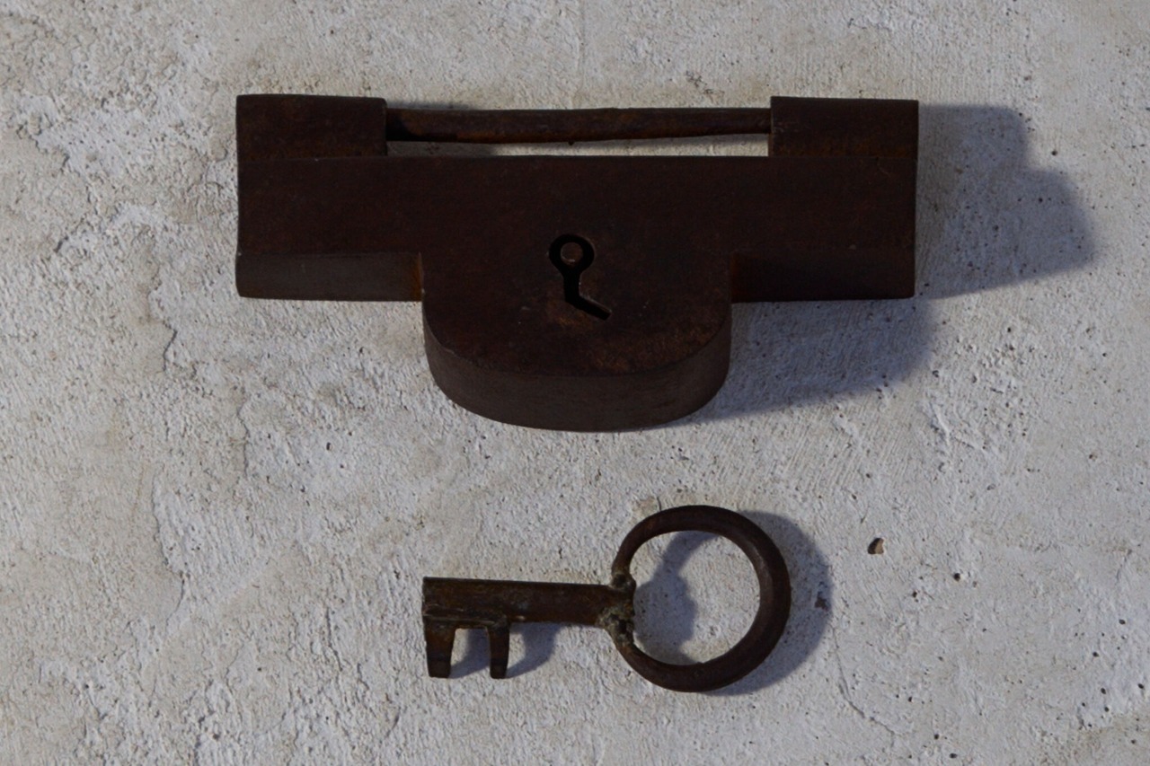 鍵が生きる、栗と杉の枯れた銭函