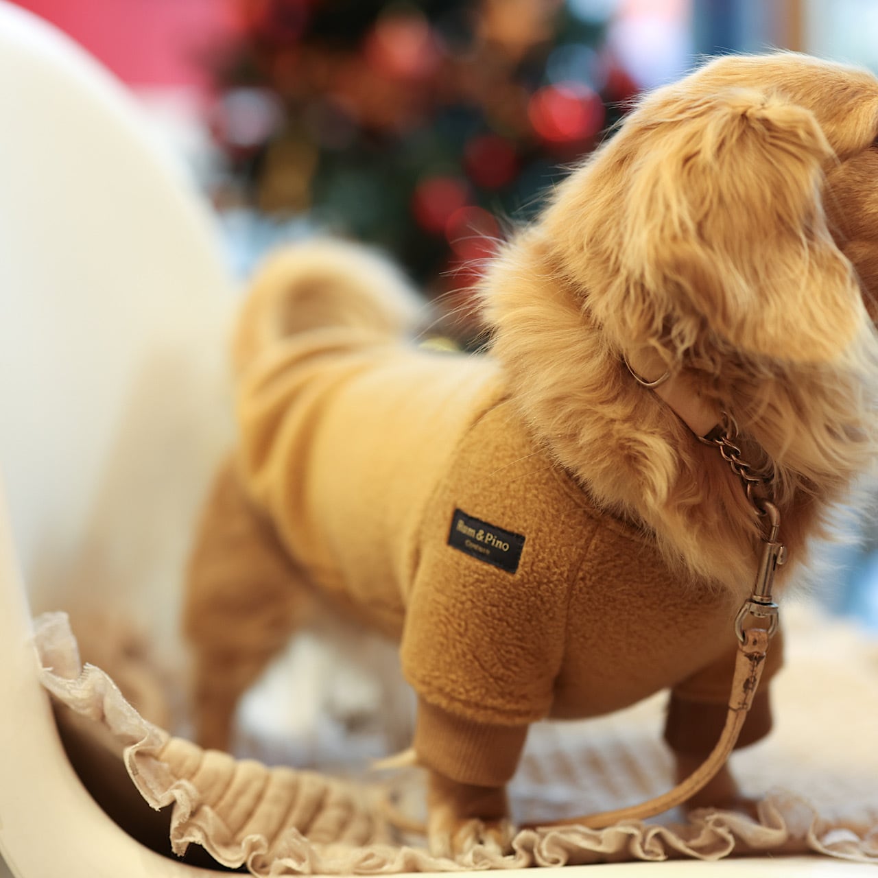 ラグランフリース | カニンヘンダックスとミニチュアダックス専門のお