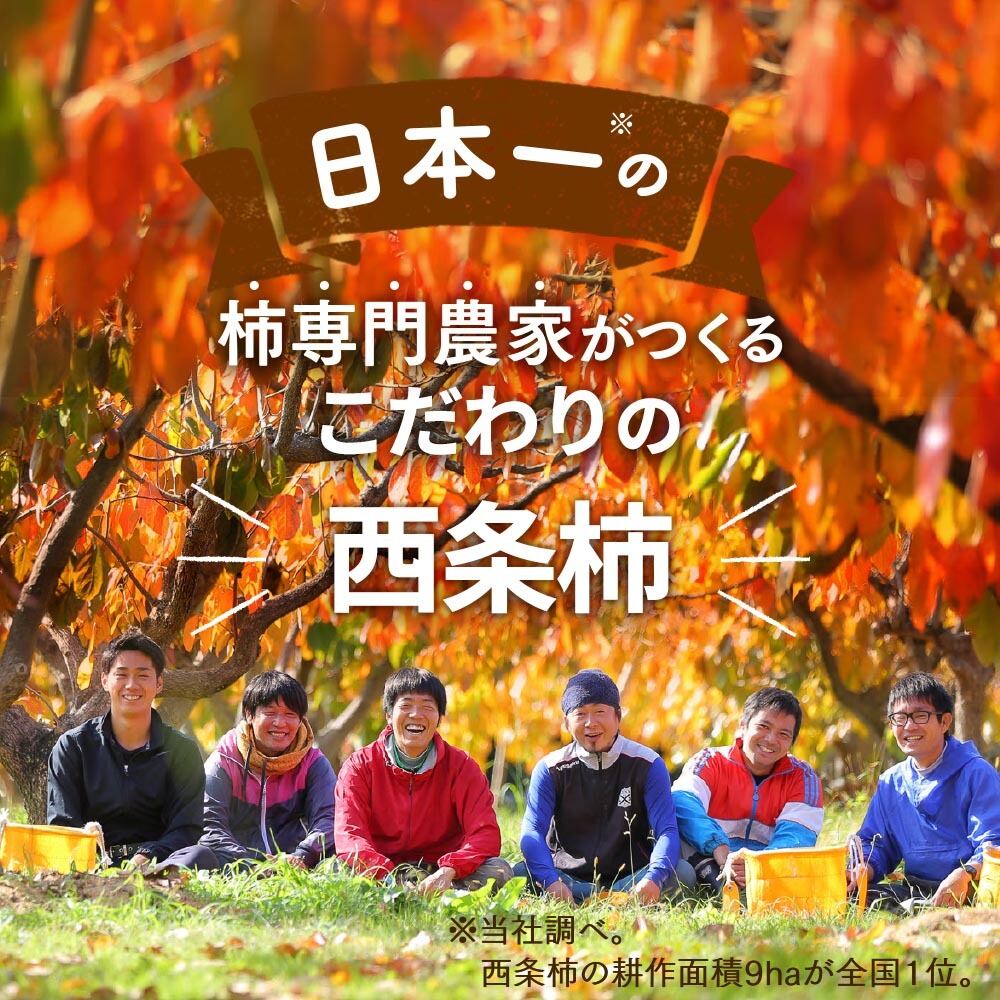 2025年産】【11月発送】吊るし柿用西条柿 3L 36玉（7.5kg） 吊るし