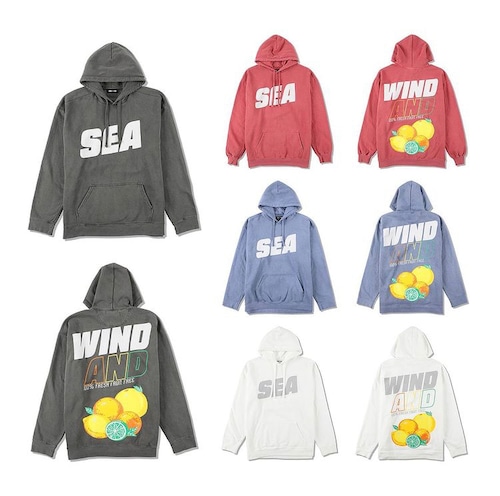 WDS SEA (sea-alive) HOODIE