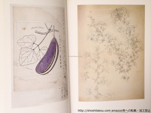 （図録）牧野富太郎と植物画展　ボタニカルワールドへのいざない　/　高知県立牧野植物園,毎日新聞大阪本社文化事業部　編　[36418]