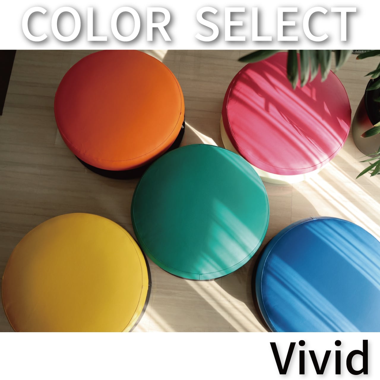 HOME TRAMPOLINE COLOR SELECT 【 Vivid 】 | MIRAI PLUS