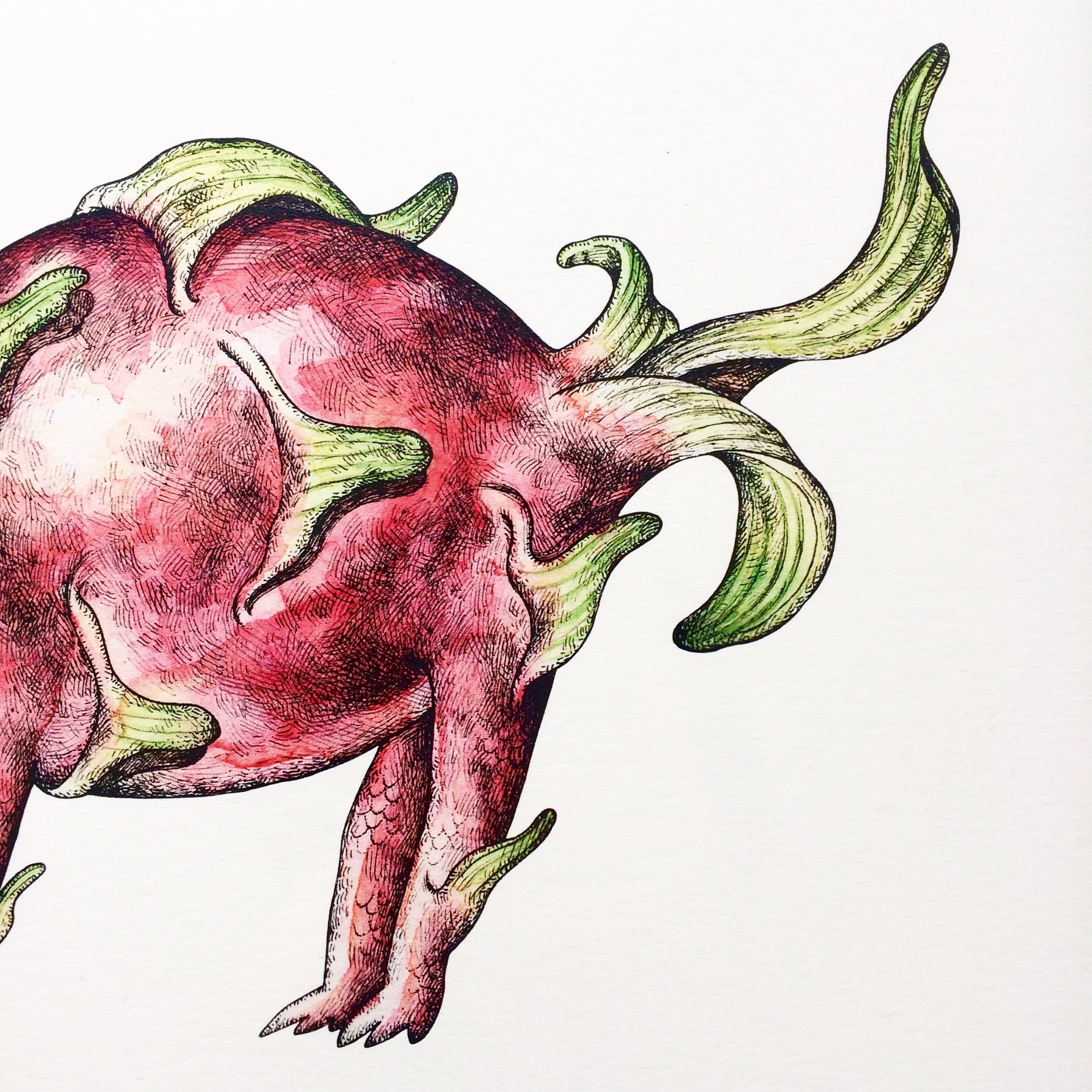 A4 ドラゴンフルーツドラゴン アートプリント/イラスト複製画 | Cashew