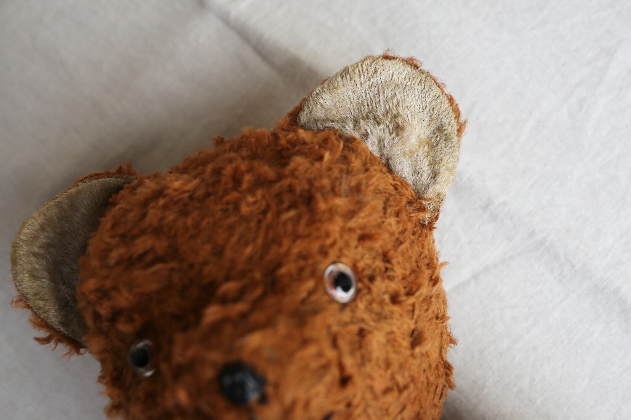 フランス アンティーク 大きめの栗毛のテディベア 54cm N-02997 | EMUPARIS