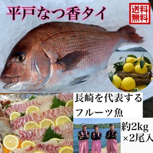 平戸なつ香タイ（約２kg)×２枚 【送料無料】【熨斗対応可】