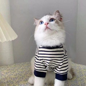 猫用クラシック・マリンボーダーTシャツ[sam024]