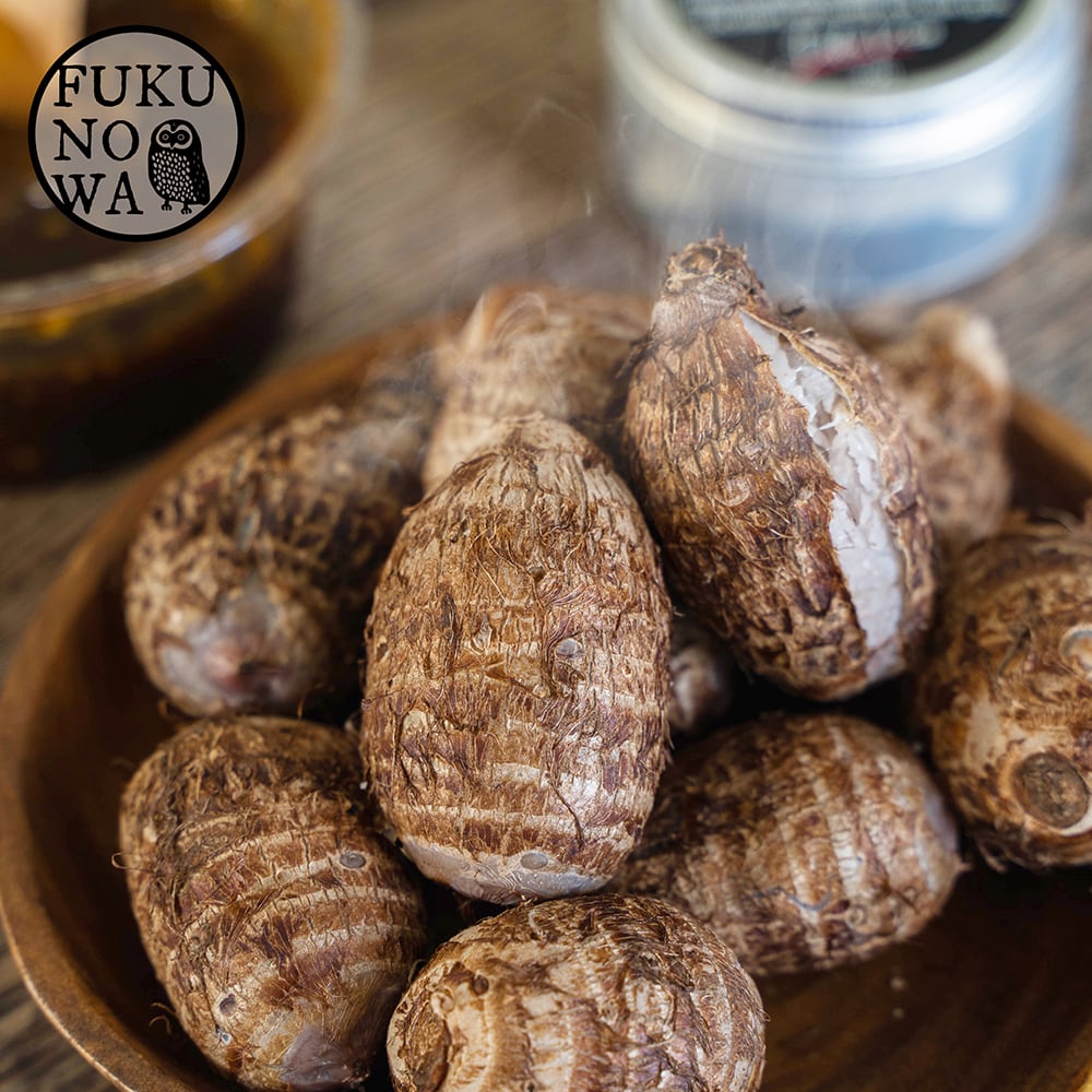 a981e374e82e14da7660913c01aa69