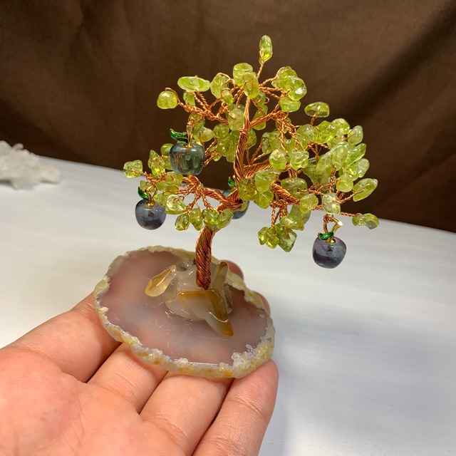 1.りんごがなる招財樹・ペリドット