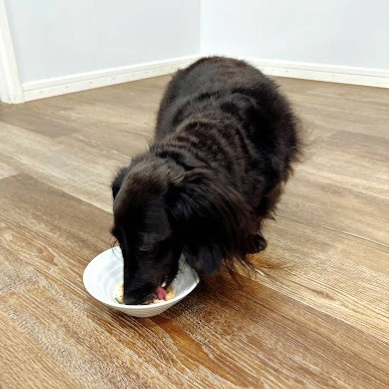 犬用 豆乳こうじ漬け 大山どりのしっとりチキンフレーク (冷凍品)