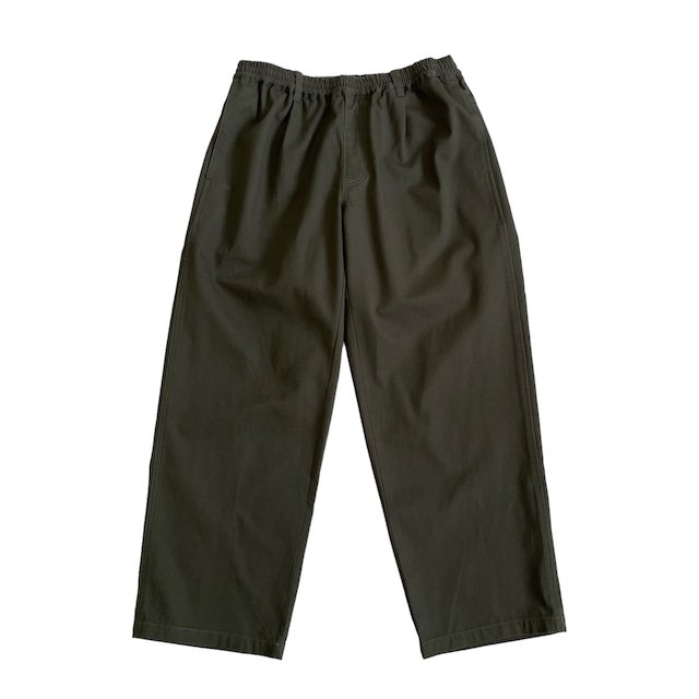 SANTA CRUZ LTD LOGO PANTS 23 SUMMER - Green