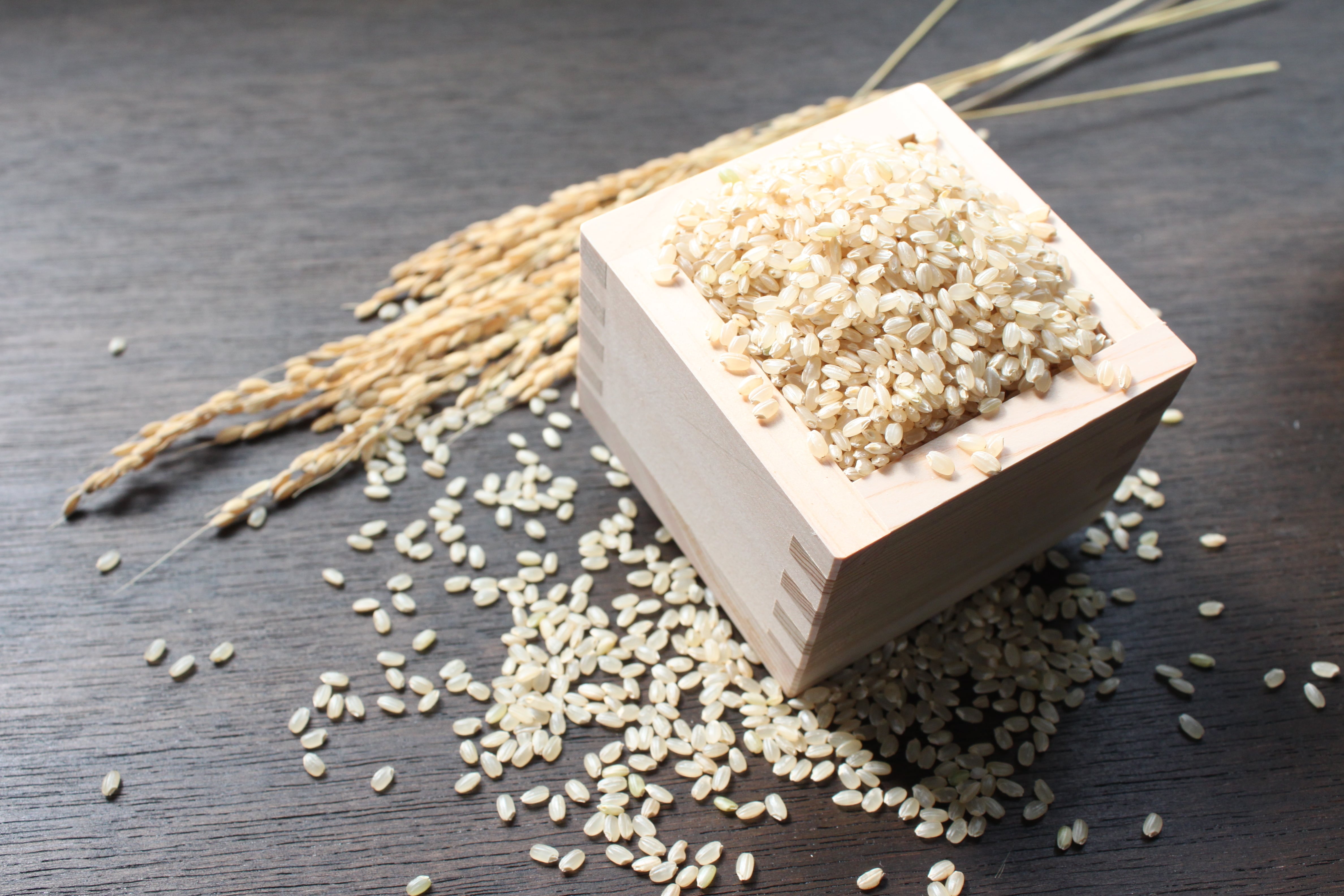 新米【令和6年産】玄米30㎏ 特別栽培米コシヒカリ | さとう農場 