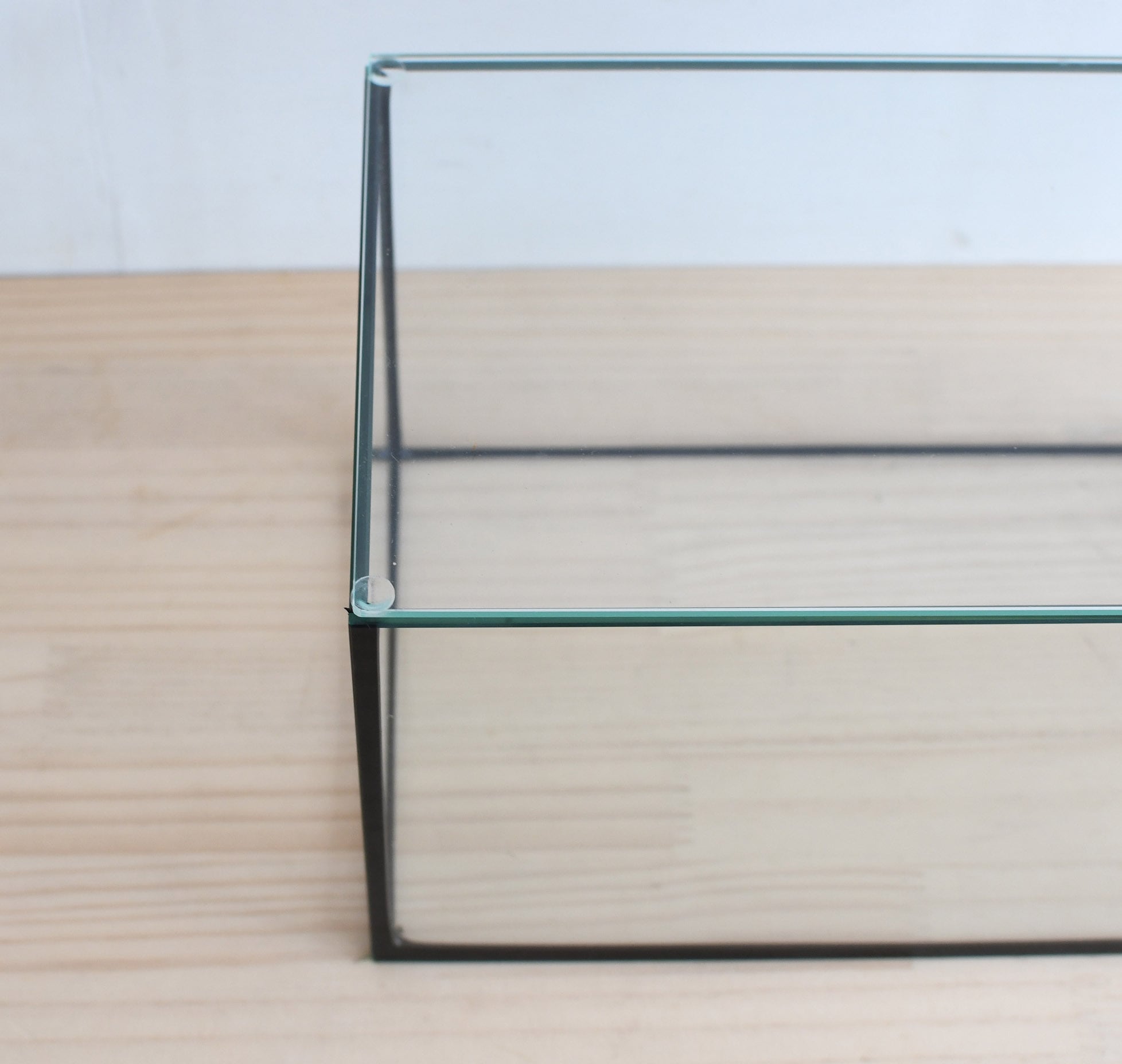 ガラス容器】 苔テラリウム用 25x16cmガラス水槽 （Lowタイプ