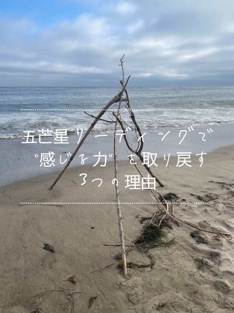 五芒星リーディングセット【本心に還る星図】解説ブックと5つの 五芒星リーディングセット【本心に還る星図】解説ブックと5つの