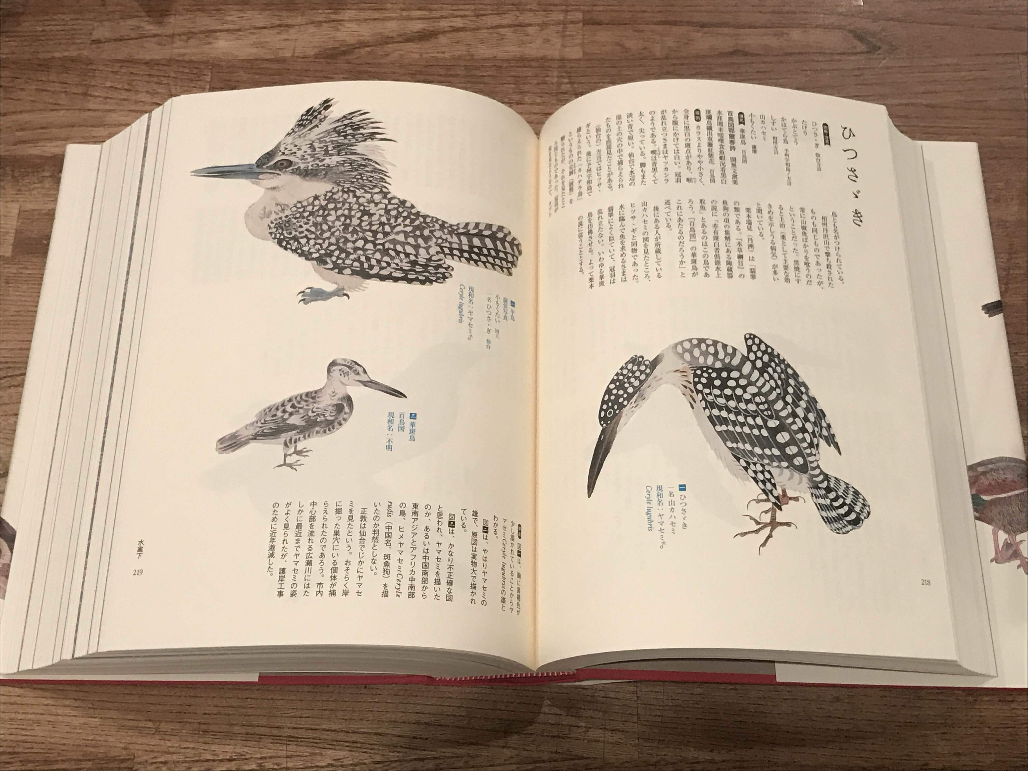 江戸鳥類大図鑑 よみがえる江戸鳥学の精華『観文禽譜』 / 堀田正 江戸鳥類大図鑑 よみがえる江戸鳥学の精華『観文禽譜』 / 堀田正