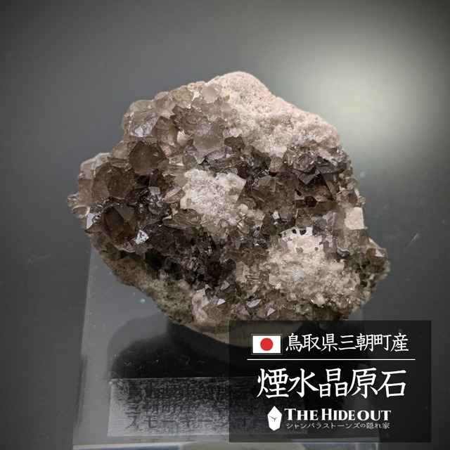 日本国産鉱物標本015 鳥取県三朝町煙水晶（スモーキークォーツ）母岩に小さな結晶群が煌めく、つまり最高