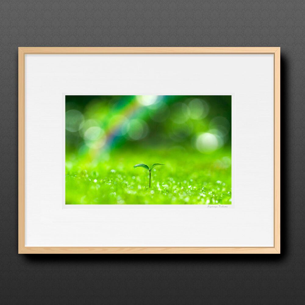 芽生え ■額縁サイズ(大全紙)726×544mm