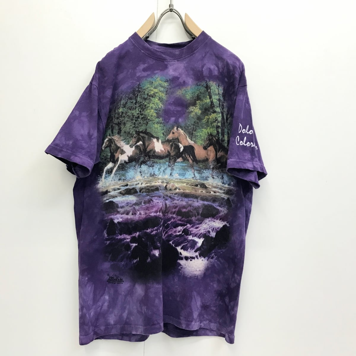 ザ マウンテン 00年代 CHRIS CUMMINGS HORSE 馬 プリントTシャツ