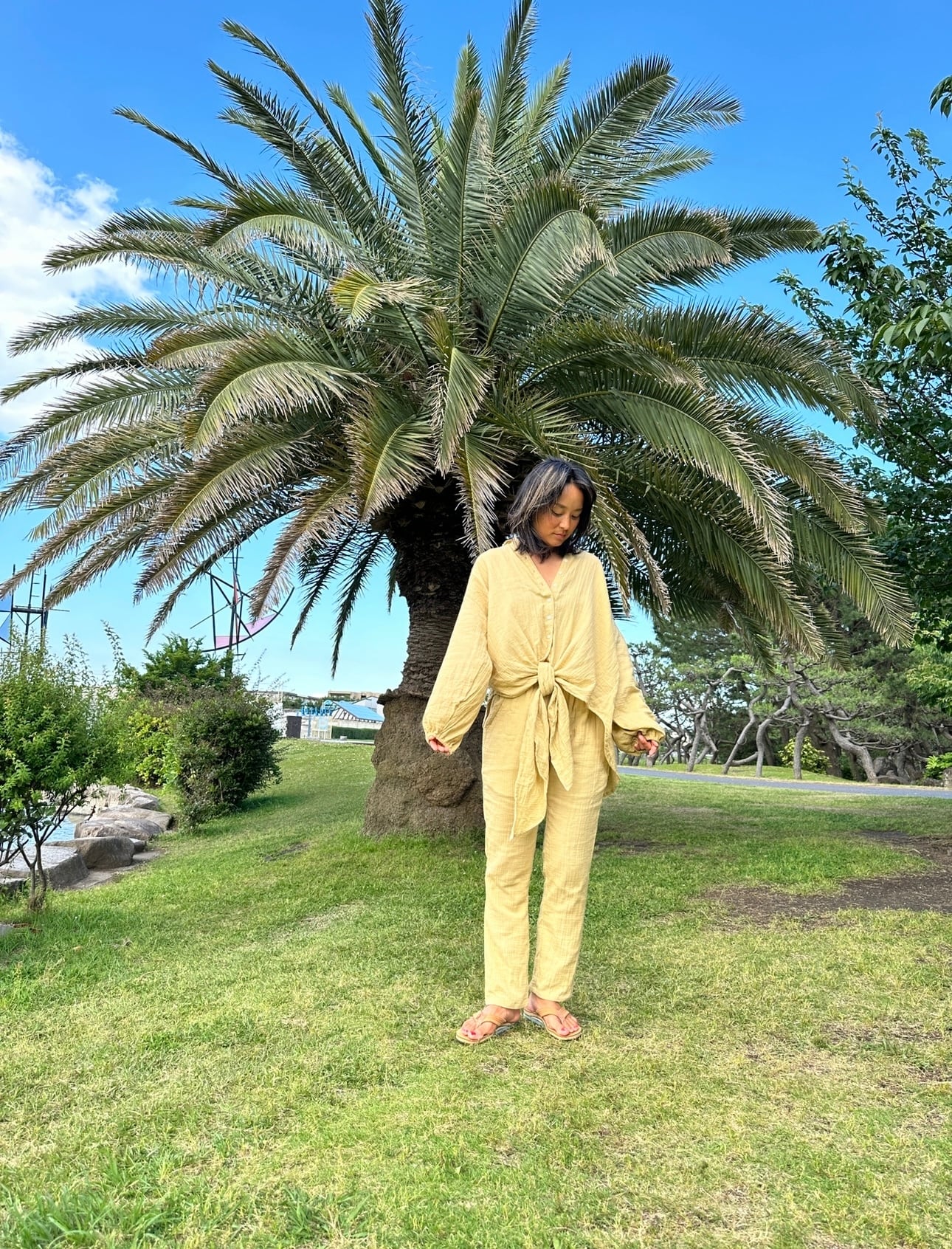 Puff sleeve blouse | halapepe st