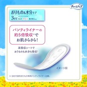 チャームナップ 吸水さらフィ 女性用 パンティライナー 3cc 無香料 17.5cm【軽い尿もれの方】240枚(80枚×3パック)