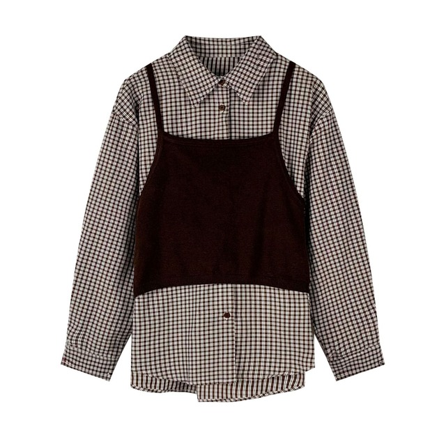 The Layered Check Ensemble