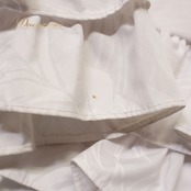 フラダンス 衣装 ワンピース ドレス ホワイト系 CC Fashions フラ ダンス モンステラ柄 ヤシ柄 CC Fashions ハワイ製 爽やか 白 フリル 華やか 上品 かわいい ハワイアン アロハ ハワイアンプリント