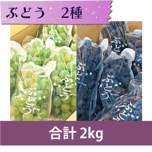 【ぶどう 2種】キャンベル 1kg・ナイアガラ 1kg