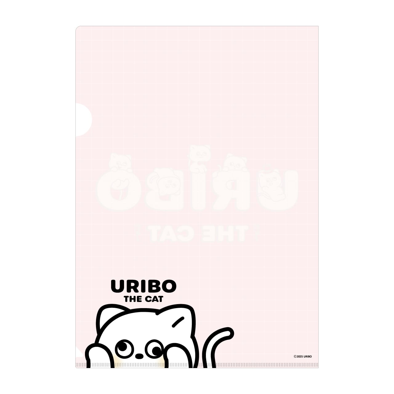 A4クリアファイル（2025年デザイン） | URIBO STORE