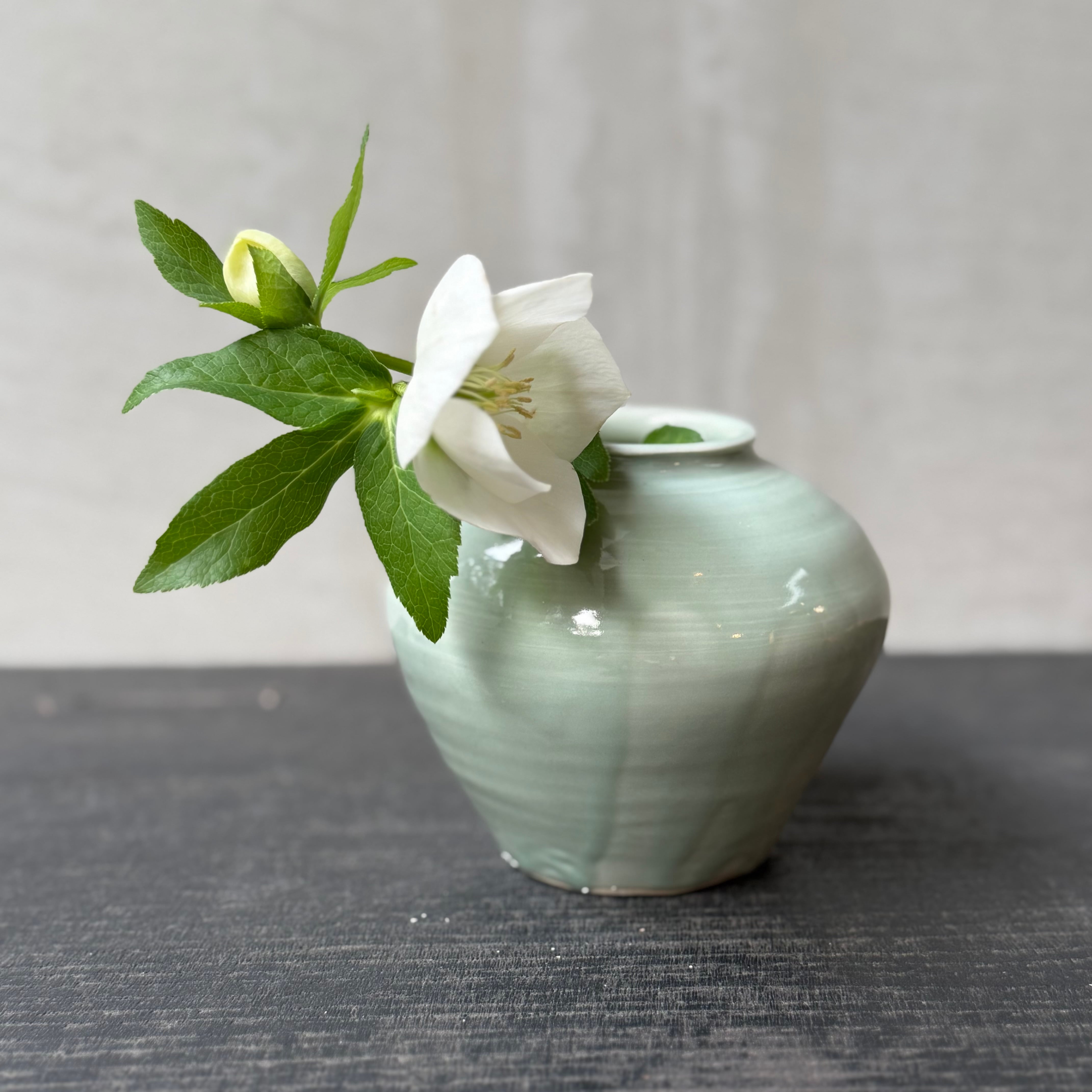 清水善行 青磁小坪壺 | gallery 一白